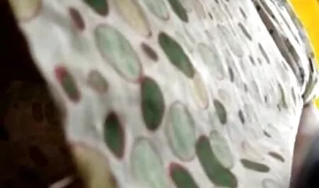 Monica divertirsi film porno gratis interi con un ragazzo