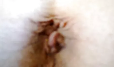 Katrin ama prendere sperma video erotico gratis sul suo viso