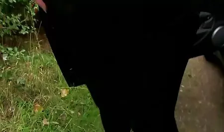 Che cagna succhiare film sex gratuito un grande cazzo cliente