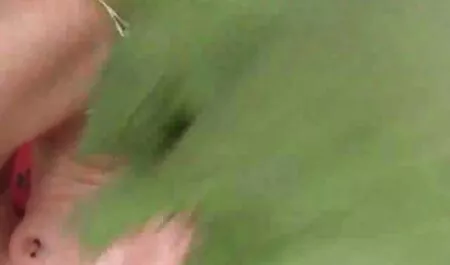 Klavochka piegato crostacei e mutandine con il suo culo video porno gratis non a pagamento